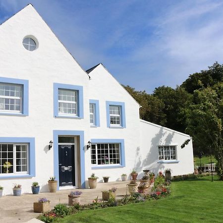 Bed and Breakfast Ty Nant Little Haven Exteriér fotografie